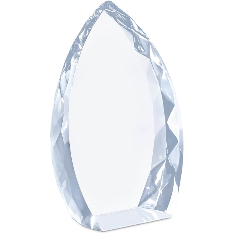 Altitude Trident Award - Image 3