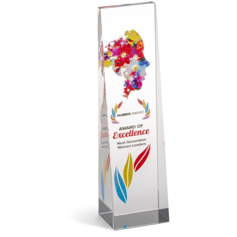 Altitude Hubris Award - Image 5
