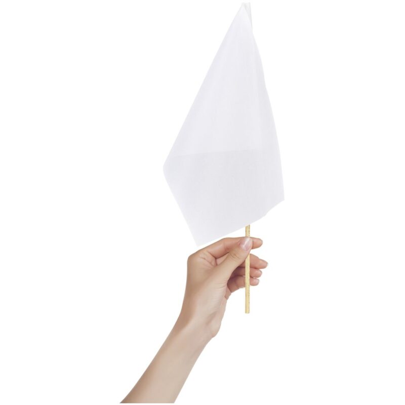 Champion Small Hand Flag 300mm x 200mm - Image 3