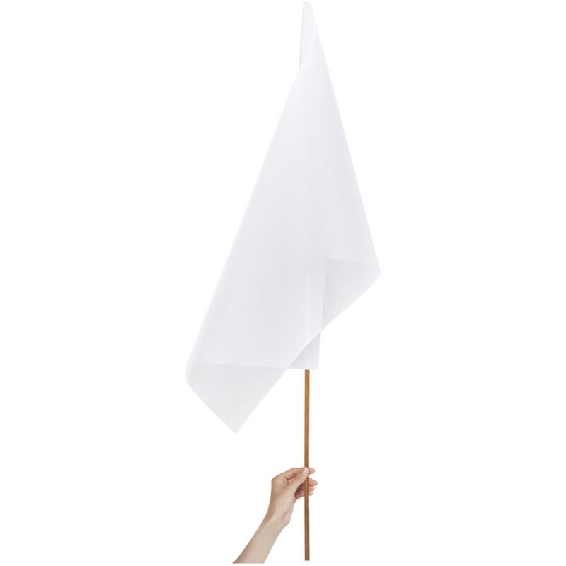 Champion Large Hand Flag 900mm x 600mm - Image 3