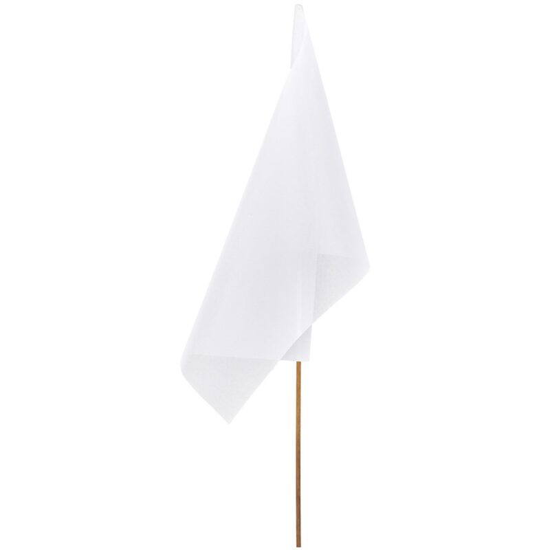Champion Large Hand Flag 900mm x 600mm - Image 4