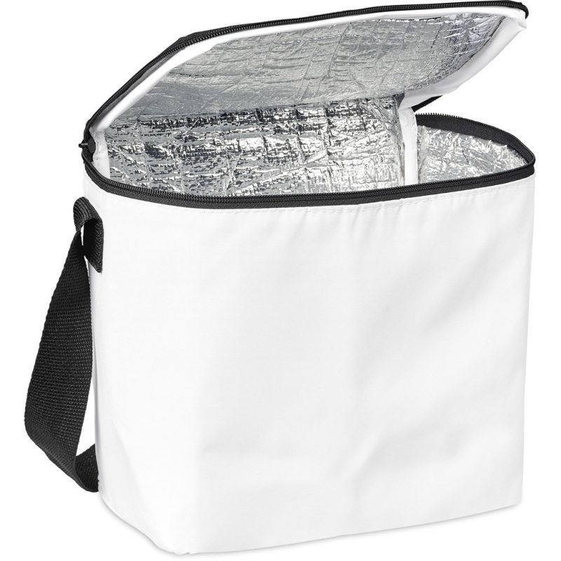 Hoppla Hydro 12-Can Cooler - Image 4